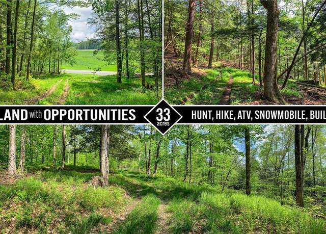 Property at 0 County Highway 44, NY 13849