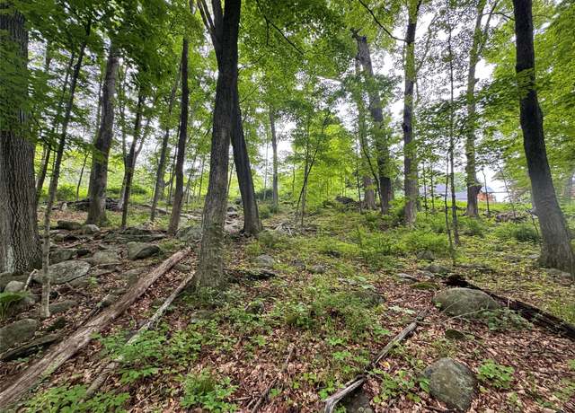 Property at Route 292, Holmes, NY 12531