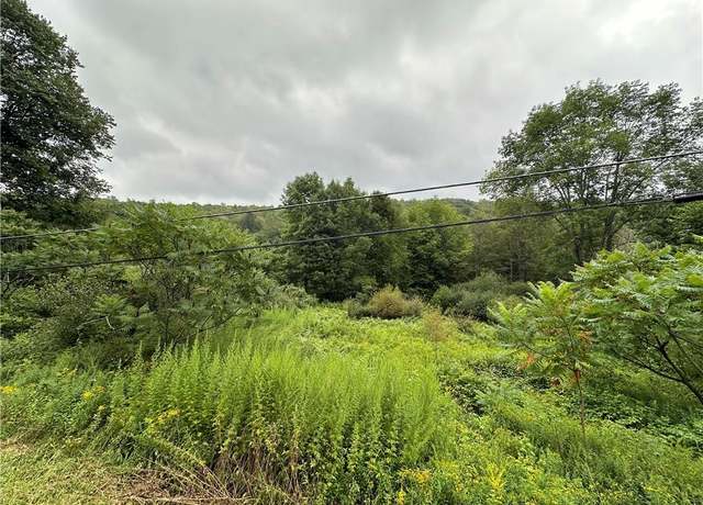 Property at Shandelee Rd, Youngsville, NY 12791