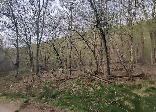 Property at Chiloway Rd, Hancock, NY 13783