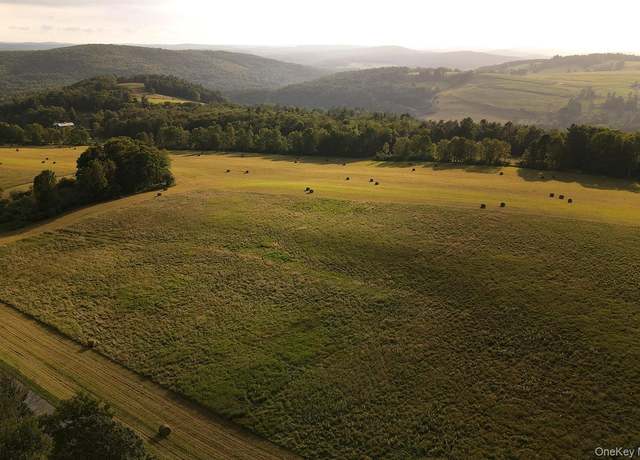 Property at 627 Beechwoods Rd, Callicoon, NY