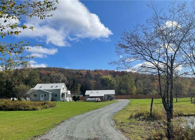Property at 141 Bonnie Brook Rd, Roscoe, NY 12776, 4 beds, 2 baths