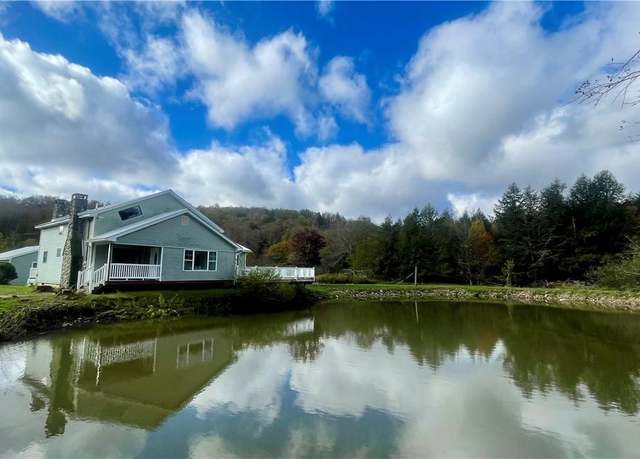 Property at 141 Bonnie Brook Rd, Roscoe, NY 12776, 4 beds, 2 baths