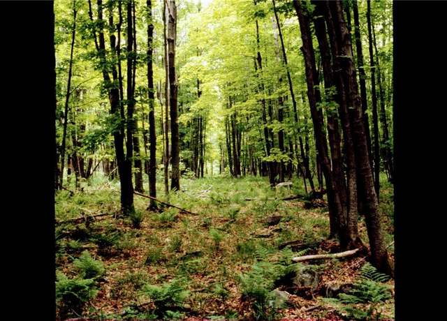 Property at Shandelee Rd, Livingston Manor, NY 12758