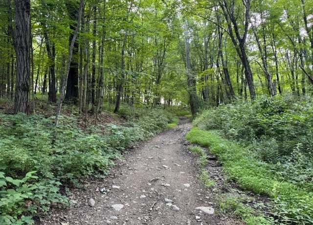 Property at Manor Drive W & Arlene Rd, Lagrangeville, NY