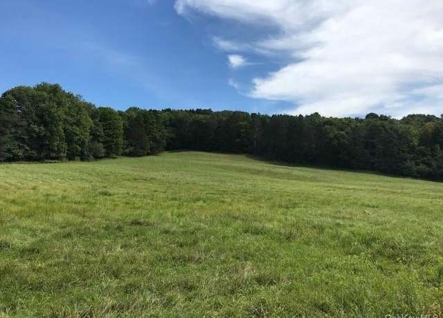 Property at 7 Mccolly Rd, Fremont, NY 12736