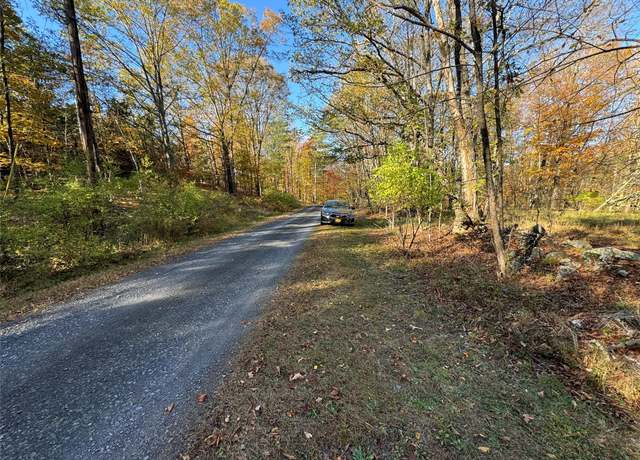 Property at 70 & 76 Joseph Ln, Cairo, NY 12058