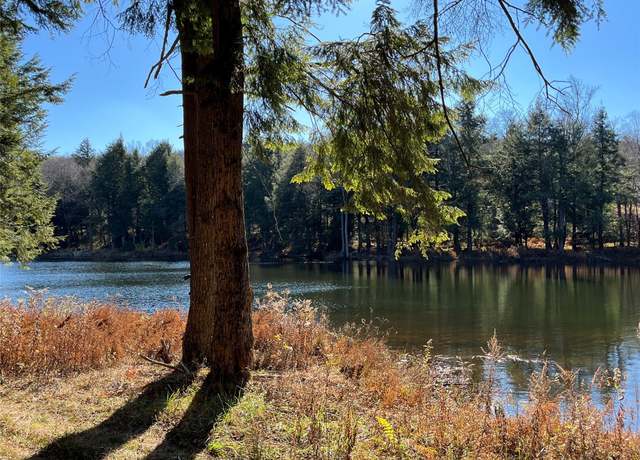 Property at 4 Cold Creek Pass, Parksville, NY 12768