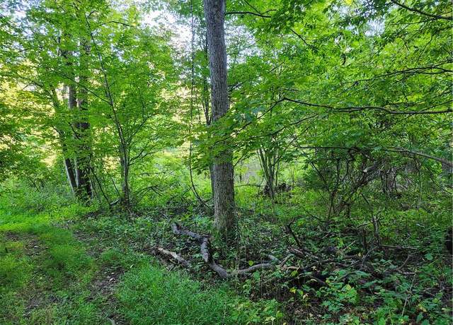 Property at 188 Old Stage Rd, Saugerties, NY 12477