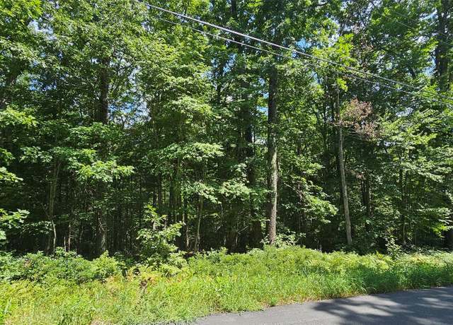 Property at Lot 23.23 Perry Pond Rd, Narrowsburg, NY 12764