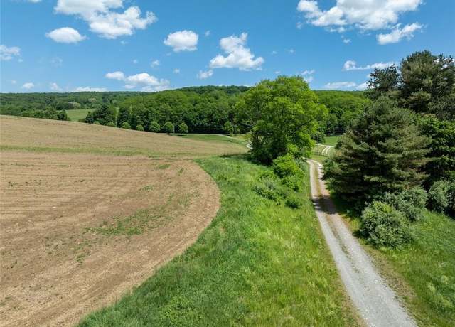 Property at 1533-1539 Route 83, Millerton, NY 12567