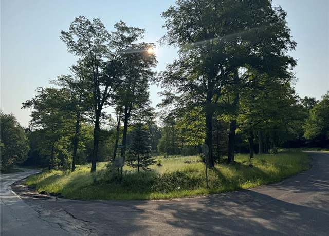 Property at 7 Woodard Rd, Parksville, NY 12768