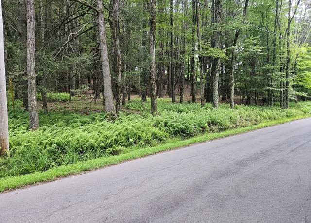Property at Hurd And Parks Rd, Kauneonga Lake, NY