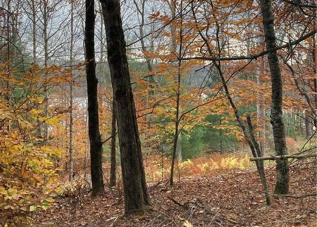 Property at 140 Plank Rd, Mongaup Valley, NY 12762