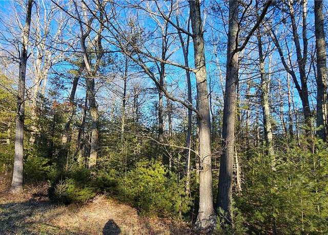 Property at Lot 57.1 Yulan-barryville Rd, Barryville, NY 12719
