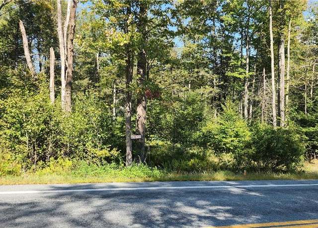 Property at State Route 42, Grahamsville, NY 12765