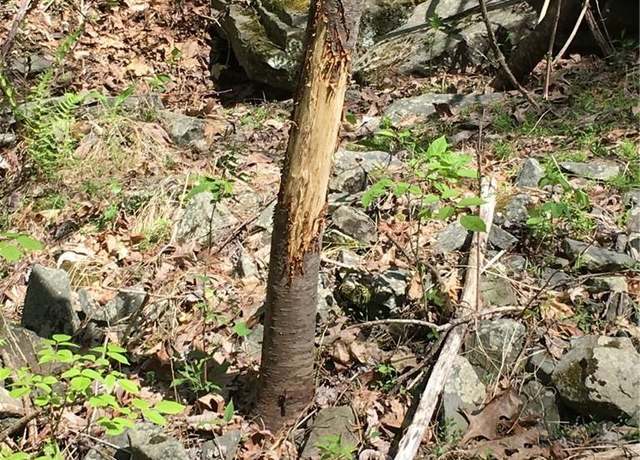 Property at Logtown Rd, Port Jervis, NY 12771