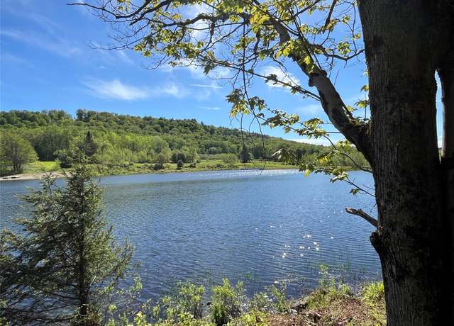 Property at 153 Eagles Ridge Way, Parksville, NY 12768