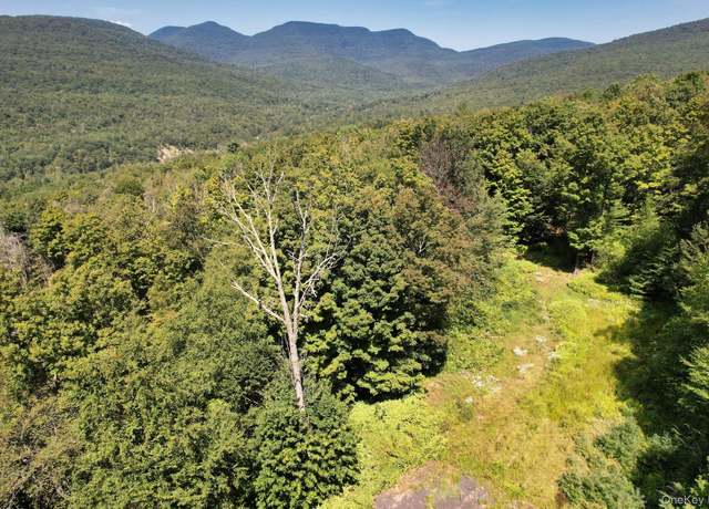 Property at TBD Macdaniel Rd, Bearsville, NY 12409