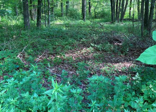 Property at Adam Wagner Ln, Mahopac, NY 10541