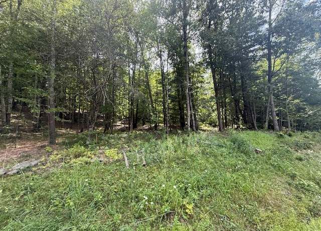 Property at LOT 3 Shoddy Hollow Rd, Otisville, NY 10963