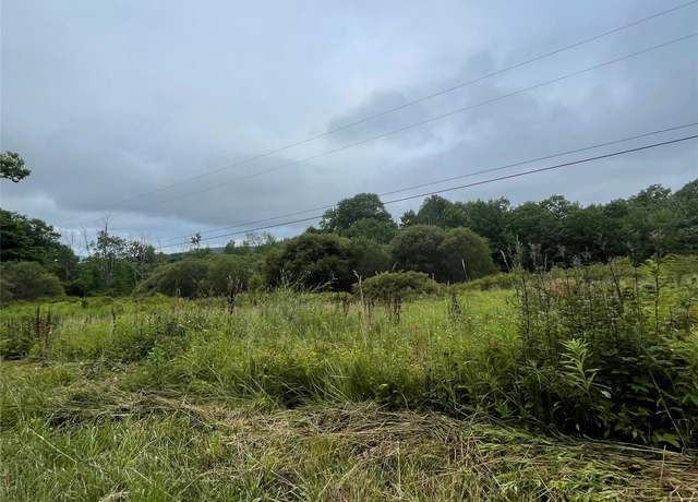 Property at Basil Todd Rd, Fleischmanns, NY 12430
