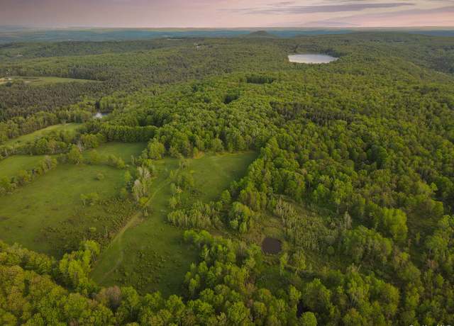 Property at 1 Snow Hill Rd, Parksville, NY