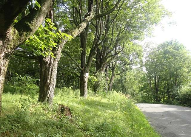 Property at Henry Rd, Cragsmoor, NY 12420