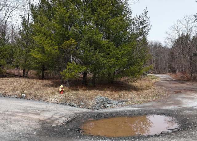 Property at Maple Ave, Loch Sheldrake, NY 12779