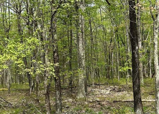 Property at Split Rock Dr, Barryville, NY 12719