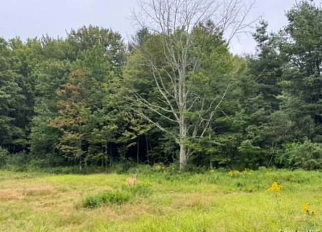 Property at 480 CR 131, Callicoon, NY