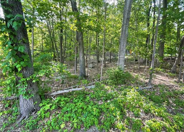 Property at 75 Birch Paper Trl, Carmel, NY 10512