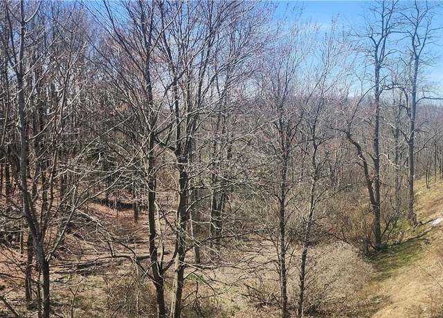 Property at Liberty St, Monticello, NY 12701