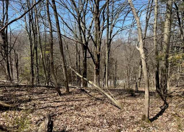 Property at 0 Taghkanic, Elizaville, NY