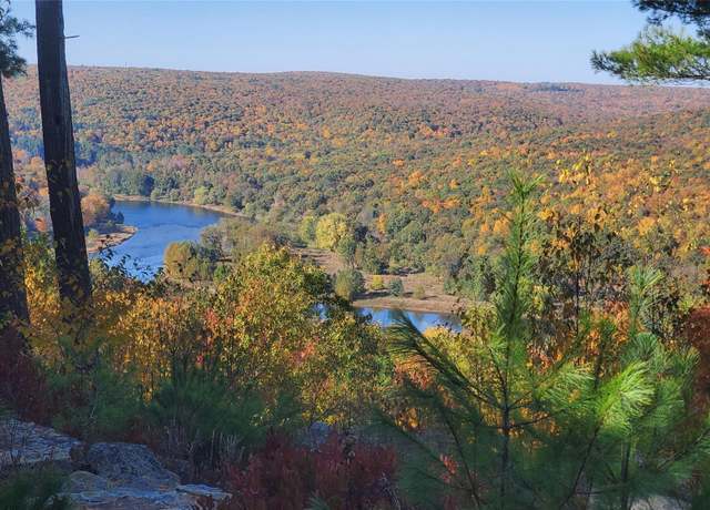 Property at Lot 1 Eagle View Rd, Narrowsburg, NY 12764