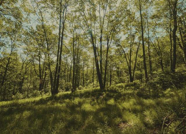 Property at 00 Benton Holw, Liberty, NY 12754