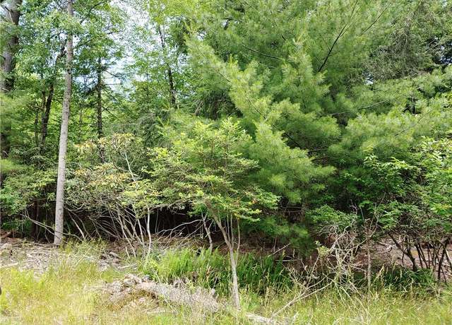 Property at Brady Ave, Smallwood, NY 12720