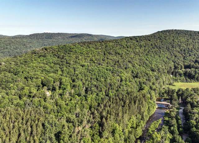 Property at 821 Berry Brook Rd, Roscoe, NY 12776