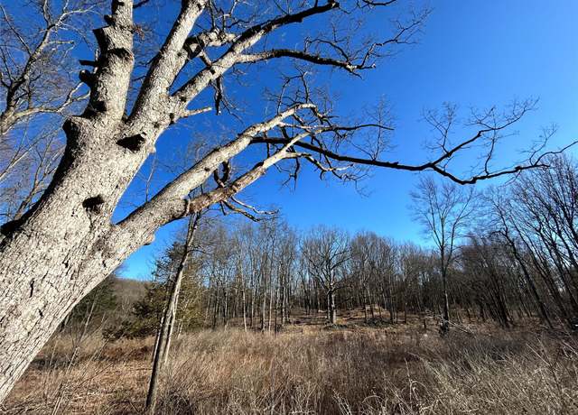 Property at Rt-9g, Rhinebeck, NY 12572