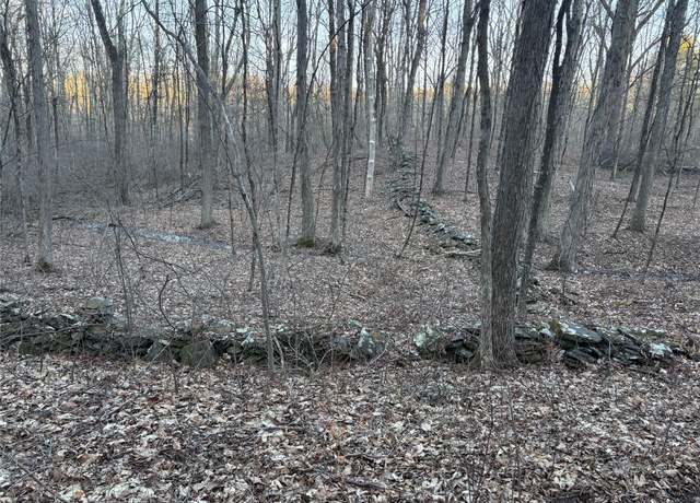 Property at Barkit Kennel Rd, Pleasant Valley, NY
