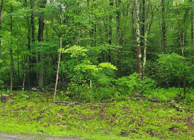 Property at Tr 105 Cypert Rd, Fallsburg, NY 12733