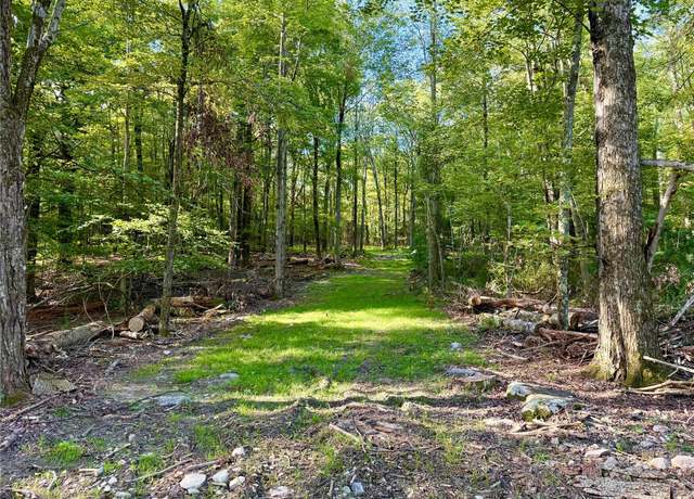 Property at Mt Prosper Rd, Wurtsboro, NY 12790