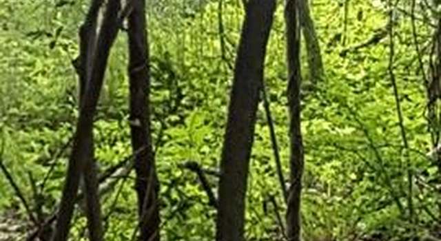Photo of 3211 Lake Shore Dr, Mohegan Lake, NY 10547