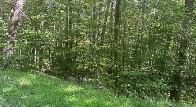 Photo of Bowers Rd, Fremont Center, NY 12736