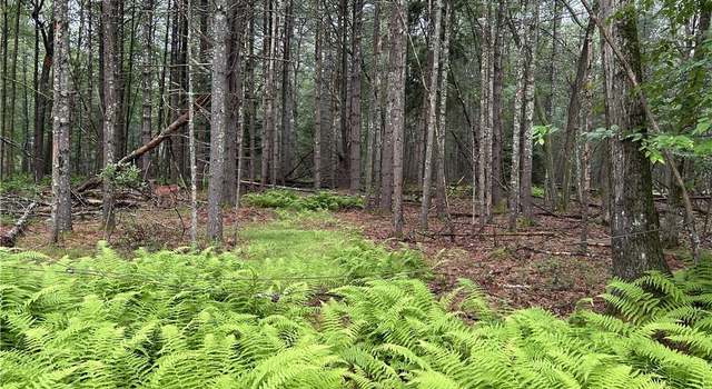 Photo of Lot 62.2 Lake View Dr, Call Listing Agent, NY 12743