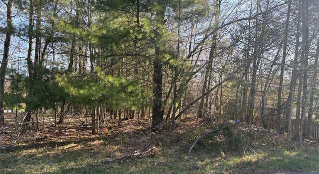 Photo of Woodcliff Ave, Monticello, NY 12701