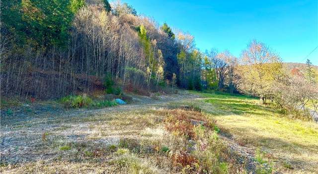 Photo of Hazel Rd, Livingston Manor, NY 12758