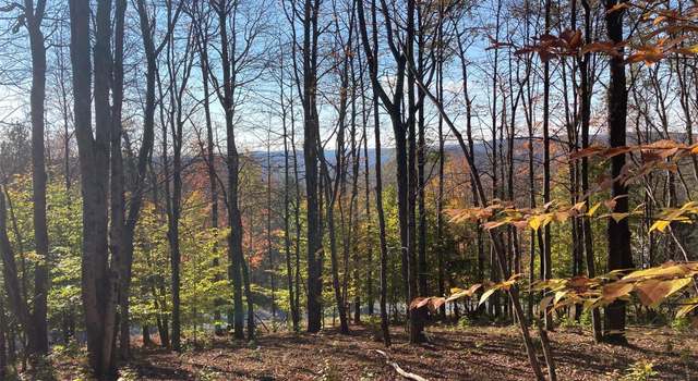 Photo of TBD White Roe Lake Rd, Livingston Manor, NY 12758