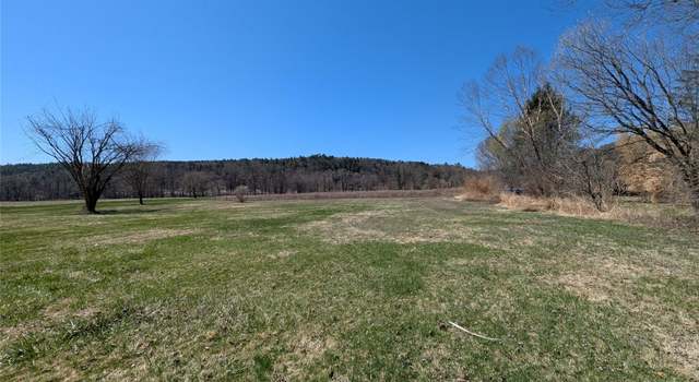 Photo of 88 Cochecton Rd, Cochecton, NY 12726