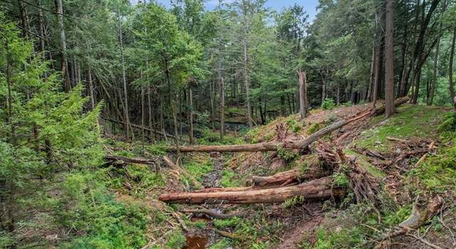 Photo of Tannery Rd, Forestburgh, NY 12777